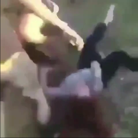 Group of Black Males Savagely beat Lone White Female In Park